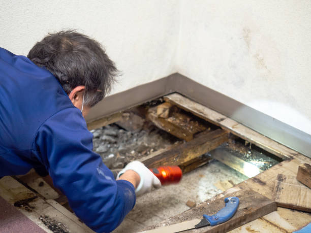 Best Industrial Mold Remediation in Waunakee, WI