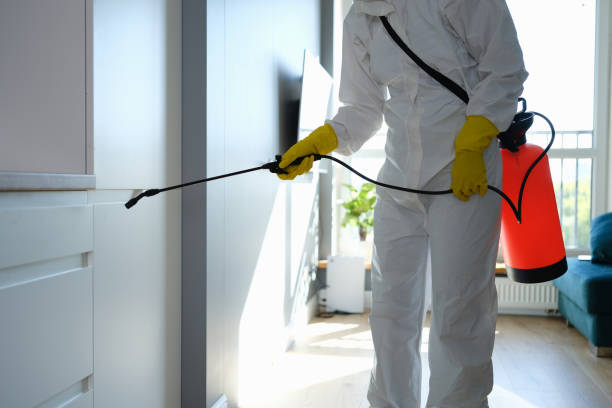 Best Commercial Mold Remediation in Waunakee, WI