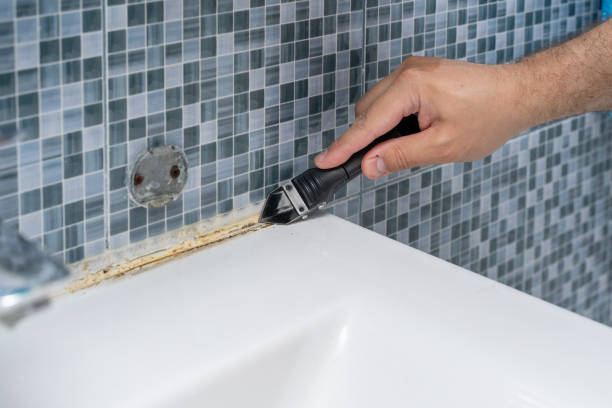 Best HVAC Mold Remediation in Waunakee, WI